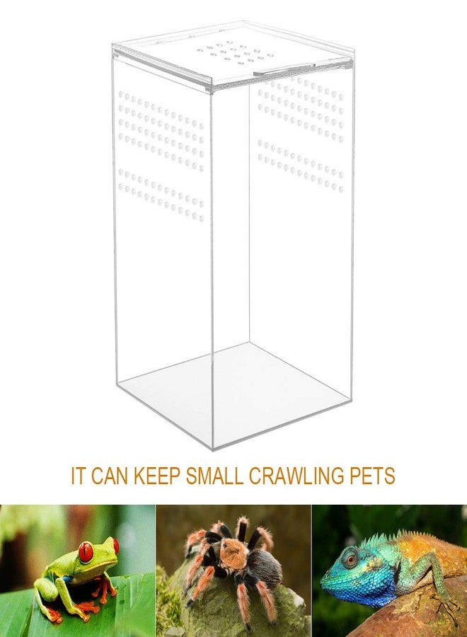 NANEEZOO Magnetic Acrylic Reptile Cage, 6"x6"x9" Tall Enclosure Transparent Reptile Breeding Box Terrarium Tank for Tarantula Scorpion Sling Isopods Invertebrates Insect Mantis - Image 4